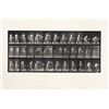 Image 1 : Eadweard Muybridge, Animal Locomotion, Collotype