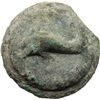 Image 2 : Apulia, Luceria   Teruncius, 269-225 a.C.