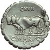 Image 2 : C. Marius C. f. Capito. Denario, 81 a.C.