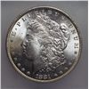 Image 2 : 1881 Morgan $    blast white  ICG65  65 GS bid = $535