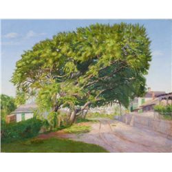 Mary Comer Lane - Southern Street