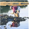 Image 1 : Michael Harrell - Lowcountry Reflections