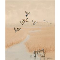 Edward von S. Dingle - Mallards over Rice Field