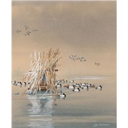 Edward von S. Dingle - Scaup over the Blind