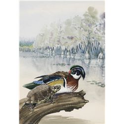 Edward von S. Dingle - Summer Wood Duck and Terrapin