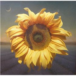 Alex Zapata - Sunny Daze