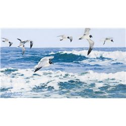 Guy Coheleach - Cruising Gulls