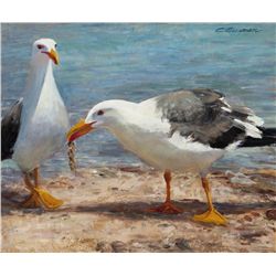 Carol Guzman - Gulls