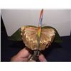 Image 2 : mechanical tin singing bird with bellows, works