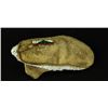 Image 2 : Single C. 1870-1880's Sioux baby moccasin
