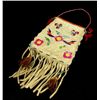 C. 1910 Large Santee Sioux quill bag