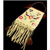 Image 2 : C. 1910 Large Santee Sioux quill bag