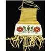 C. 1890's Assiniboine beaded pipe bag.