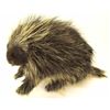 Image 1 : Porcupine mount 25" long.