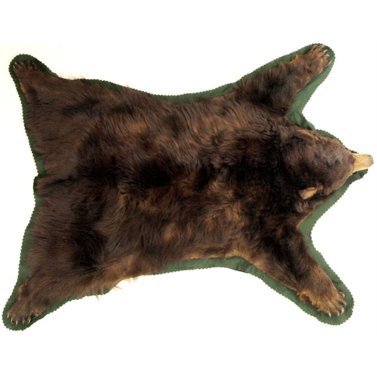 Good quality brown bear rug on felt backing