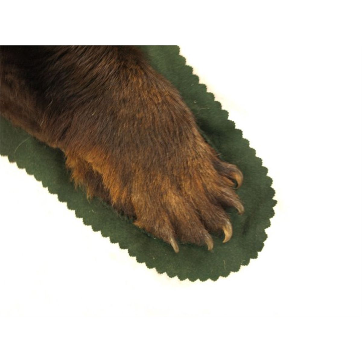Good quality brown bear rug on felt backing
