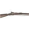 Image 1 : US Springfield Model 1873 .45-70 NVSN