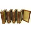 Image 2 : Antique mahogany display accordion case