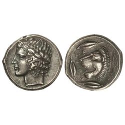 Tetradracma. 466-425 a.C. LEONTINOI. Anv.: Cabeza laureada de Apolo a izquierda. Rev.: Cabeza de leó