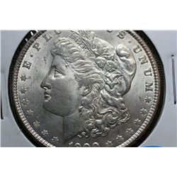 1900 Morgan Dollar