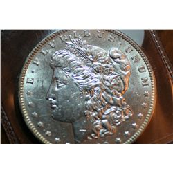 1902 Morgan Dollar