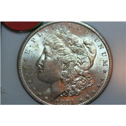 1881-S Morgan Dollar (NGC-MS64)