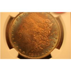1885-O Morgan Dollar (Toned) NGC-MS65