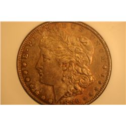 1886 Morgan Dollar Hallmark-MS63