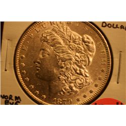 1879 Morgan Dollar  VAM "Worm Eye"