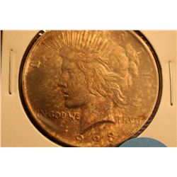 1923 Peace Dollar (Toned)