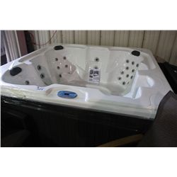 6 PERSON HOT TUB WITH LOUNGER -  45 STAINLESS STEEL