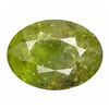 Image 1 : 1.49ct  Oval Cut Bi - Color  Paraiba Tourmaline (GEM-9987)