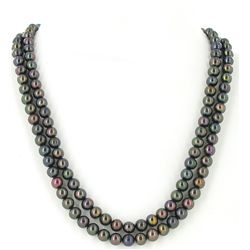 Black Saltwater Pearl 2 Strand Necklace (JEW-2592)