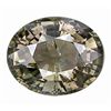 Image 1 : 2.04ct Oval Cut Bi - Color Tourmaline (GEM-10450)