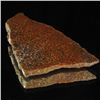 Image 1 : 167ct Dinosaur Bone Cut Slab (MIN-000477)