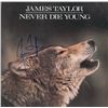 Image 2 : James Taylor