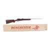 Image 1 : Winchester Mdl 70SA Cal .22-250 SN:G2360301 Bolt action varmint hunting target rifle in great