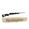 Image 1 : Remington Mdl 597 Cal .22 LR SN:2797640 Semi-auto rifle cambered in .22 LR. "No. 3 Dale Earnhardt S