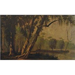 OIL ON CANVAS - 'Swamp' Scene 24" x 36"  WT129