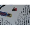 Image 2 : Otsuka, Hisashi - Original signed and numbered mixed media print