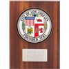 Image 1 : An Award, 1970.... (Total: 1  )