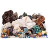 Image 1 : A Collection of Rocks and Minerals, 1950s-1970s.... (Total: 50  )