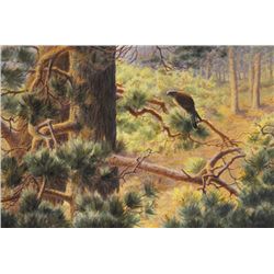 Roy Gaston (b.1937) - WARY WINDHOVER, 1990