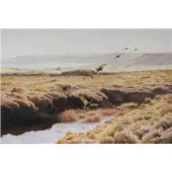 Roy Gaston (b.1937) - THE GROUSE ON GRUIG