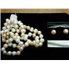 Image 1 : GENUINE FRESHWATER PEARL NECKLACE & EARRINGS