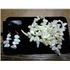 Image 1 : GENUINE FRESHWATER PEARL NECKLACE & EARRINGS