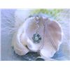 Image 1 : White Gold Necklace with Round and Blue Diamonds