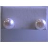 Image 1 : Pearl and Silver Earrings
