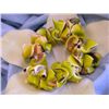 Image 2 : Shell Bracelet in Dyed Lime Color