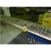 Image 1 : SECTION ROLLER CONVEYOR